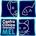 ccvm